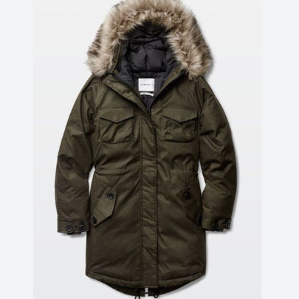 Aritzia Community Paradigm Down Parka